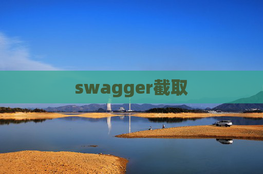 swagger截取